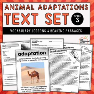 Animal Adaptations: Text Set for 3rd Grade